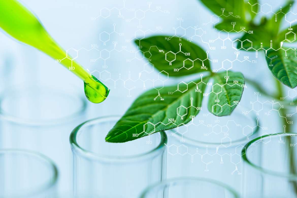 Home – Irish Green Labs