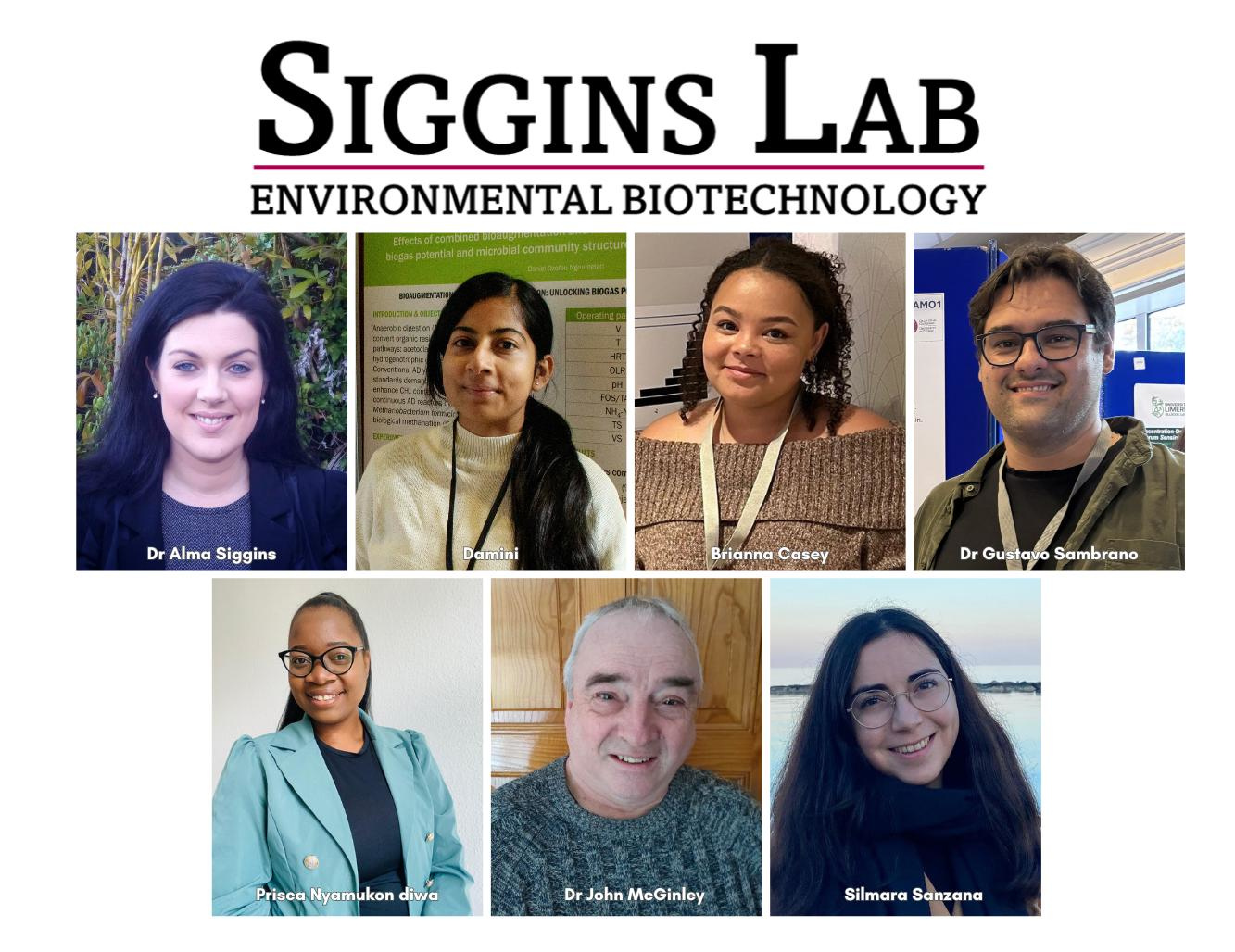 Siggins Lab